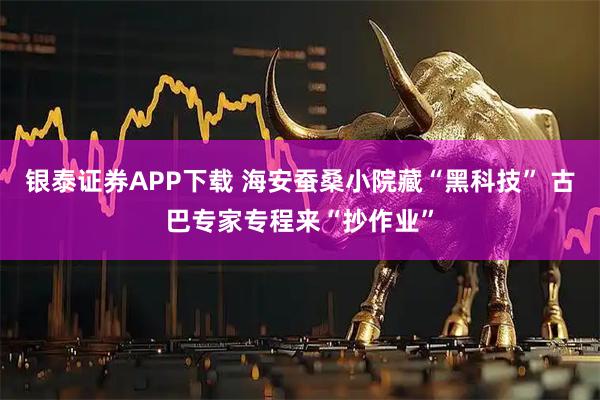 银泰证券APP下载 海安蚕桑小院藏“黑科技” 古巴专家专程来“抄作业”